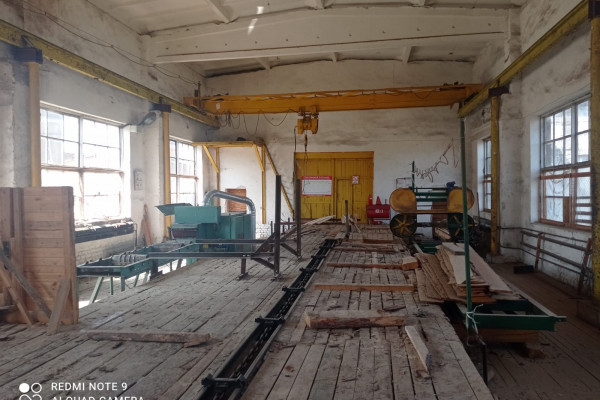 Wood processing plant in the Rivne region for sale